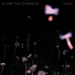 Изображение для 'A Line that Connects'