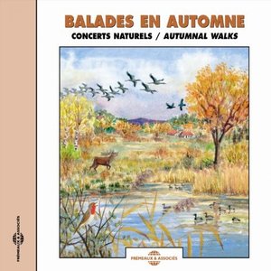 Image for 'Balades en automne (Concerts naturels)'