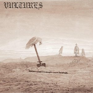 Image for 'VULTURES'