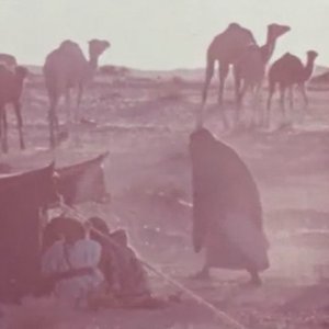 Image for 'Endless Desert'