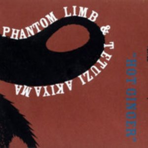 Image for 'Phantom Limb & Tetuzi Akiyama'