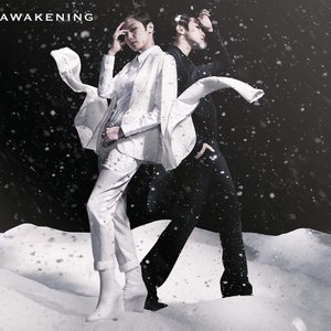 Image for 'Awakening'