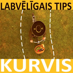 Image for 'Kurvis'