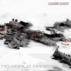 Image for 'No World Order'