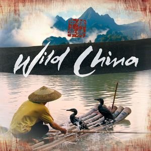Image for 'Wild China OST'