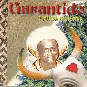 'O Boi da Amazônia, Vol. 1' için resim