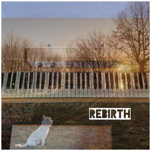 “Rebirth (Solo Version)”的封面