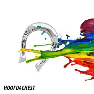 Image for 'Hoofdachest'