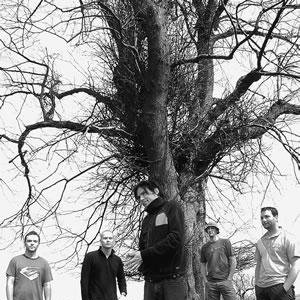 Immagine per 'Pineapple Thief'