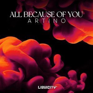 Image for 'All Because Of You'