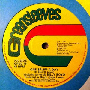 Immagine per 'One Spliff A Day'