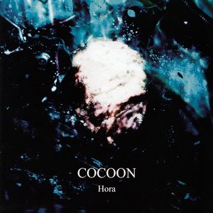 Image for 'COCOON'