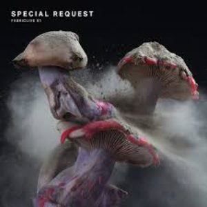 Image for 'Fabriclive 91: Special Request'