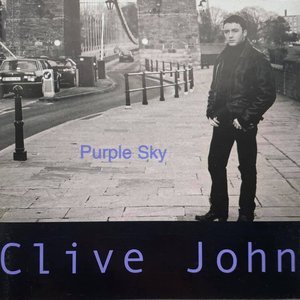 “Purple Sky”的封面
