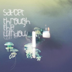 Immagine per 'Through the Window'