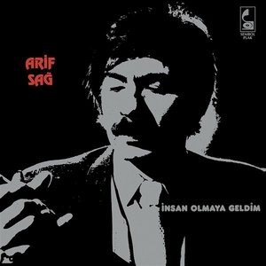 “İnsan Olmaya Geldim”的封面