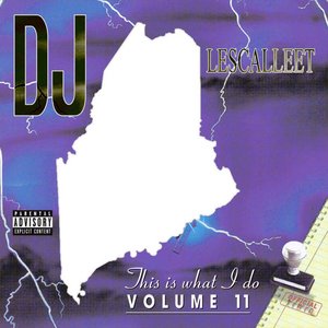Immagine per 'This Is What I Do - Volume 11'