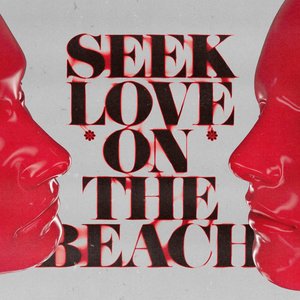 Image for 'Seek Love (On The Beach) [feat. Amanda Wilson & York]'