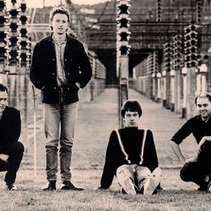 'The Chills' için resim