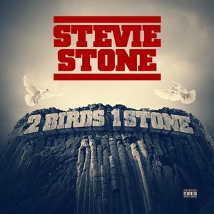 “2 Birds 1 Stone (Deluxe Edition)”的封面