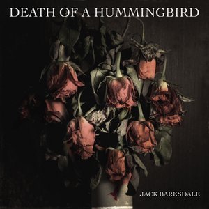 'Death of a Hummingbird' için resim