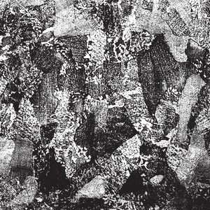 Immagine per 'Auditory Trauma: Full of Hell Isolation Sessions'