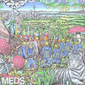 Image for 'MEDS EP'