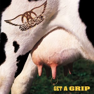 Image for 'Get A Grip (Reissue - Remaster)'