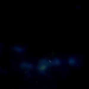 “Miraj”的封面