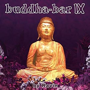 Image for 'Buddha Bar IX'