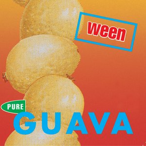 “Pure Guava”的封面