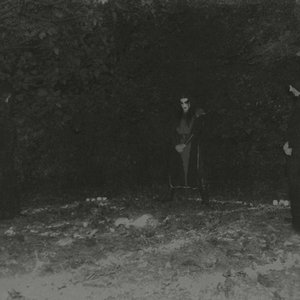 'Abhor'の画像