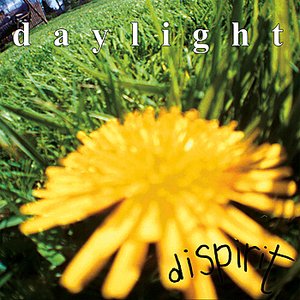 “Dispirit”的封面