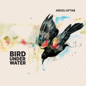 Изображение для 'Bird Under Water'