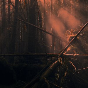 “Kistvaen”的封面