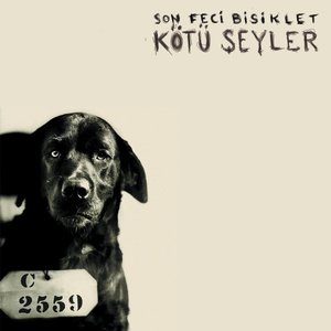 Изображение для 'Kötü Şeyler'