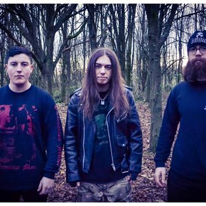 “Voidlurker”的封面