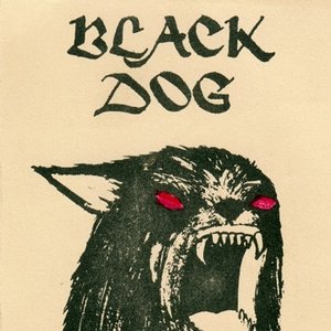 Image for 'Black Dog'