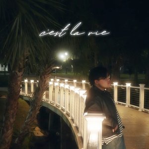 Image for 'c'est la vie'