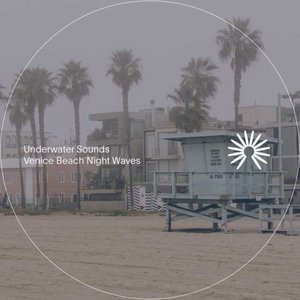 Изображение для 'Venice Beach Night Waves'