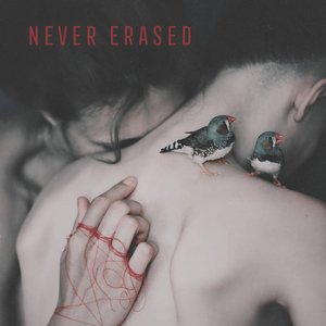 Image for 'Never Erased'