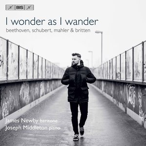 Bild für 'I Wonder as I Wander'