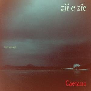 “Zii & Zie”的封面