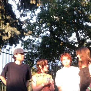 “shep treasure”的封面