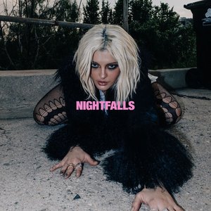 “Night Falls”的封面
