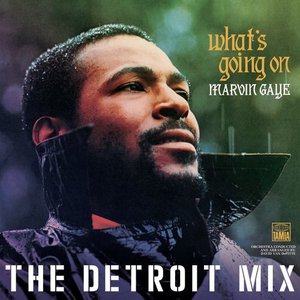Image for 'What’s Going On: The Detroit Mix'
