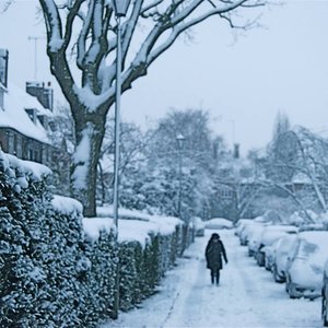 'Thief of Snow'の画像