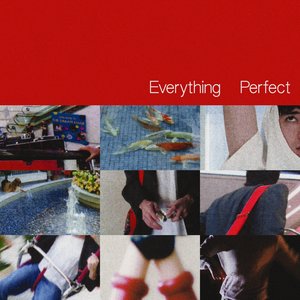 Image for 'Everything Perfect'