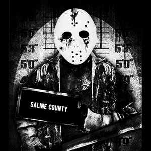 Image for 'Saline County'