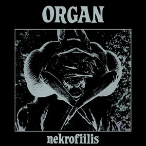 Image for 'Nekrofiilis'